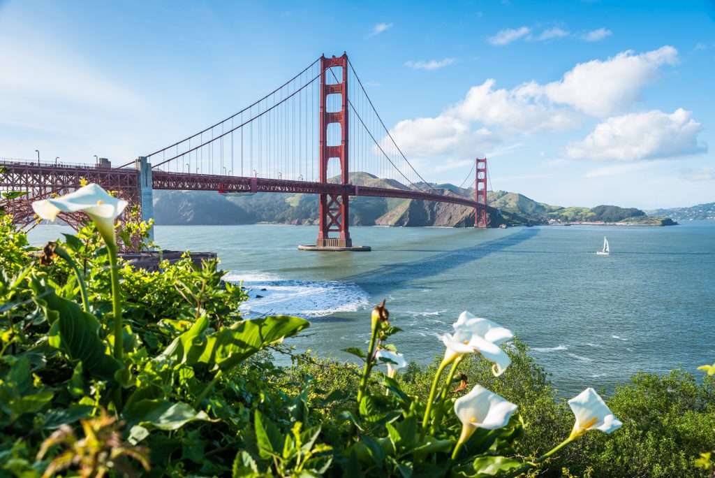 A view of the golden gate bridge from across the water.