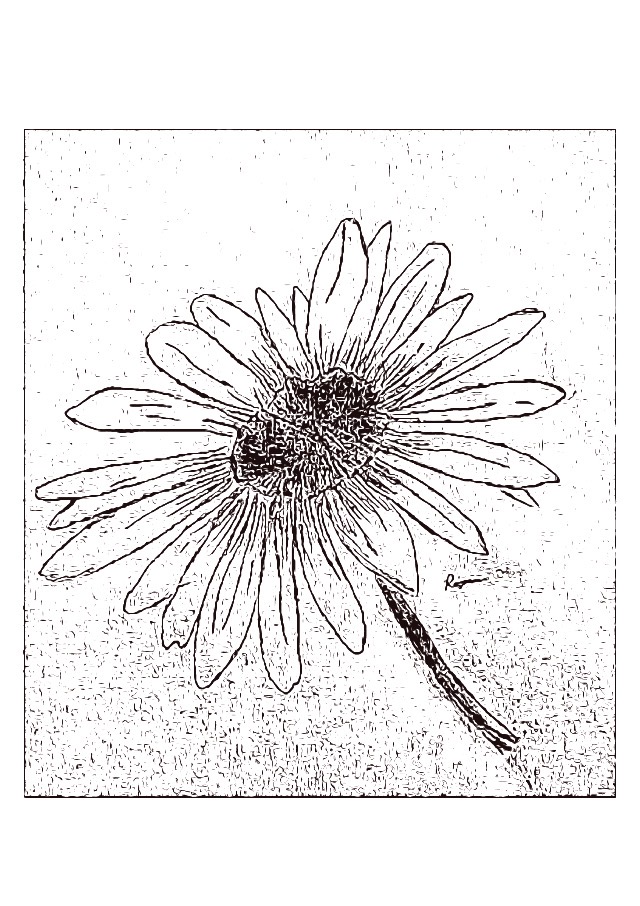 A black and white image of a flower.